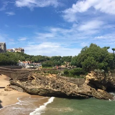 아파트 Biarritz, 2 Pieces, 4 Personnes - Fr-1-248-101 비아히쯔
